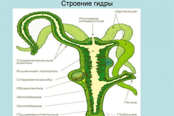 Kraken market ссылка