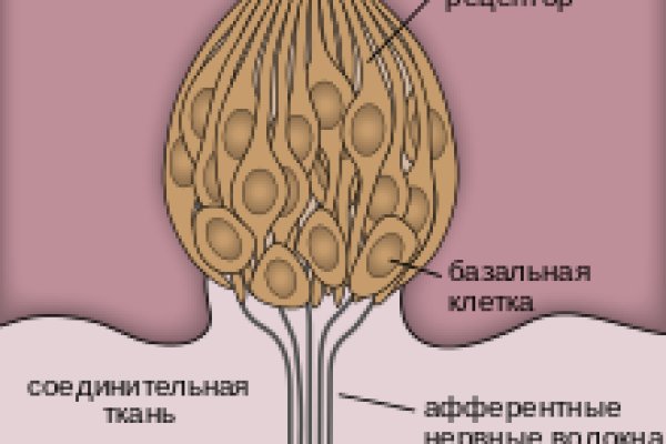 Пользователь не найден при входе на кракен